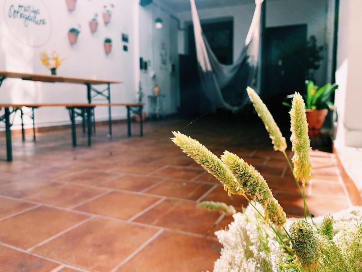 Maria Magdalena - Room 3 Malaga Zewnętrze zdjęcie